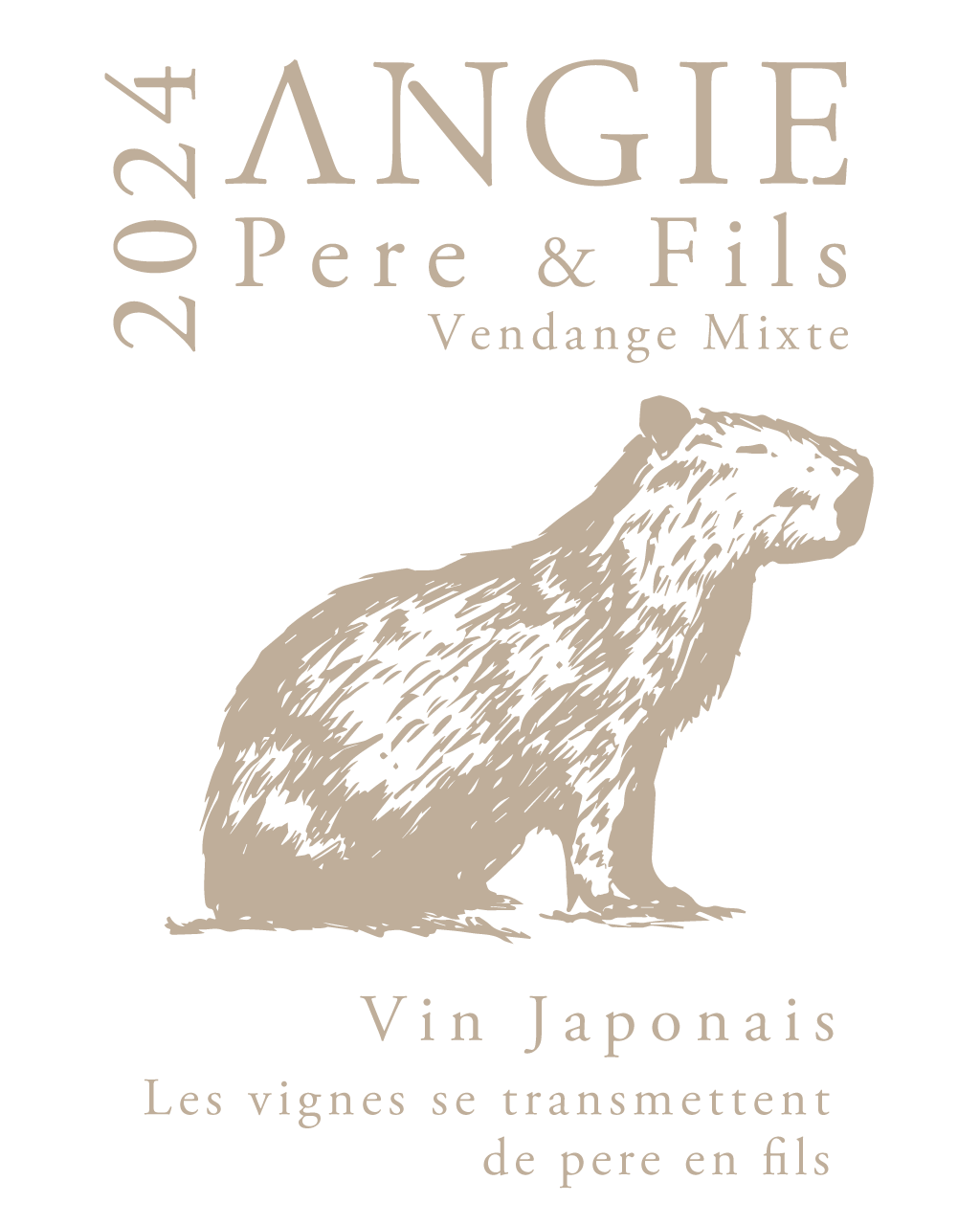 ANGIE Pere & Fils logo